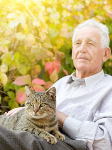 Senior man cuddle tabby cat in his lap in garden